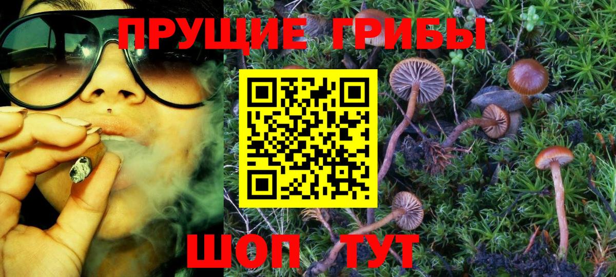 Псилоцибиновые грибы GOLDEN TEACHER Волгоград